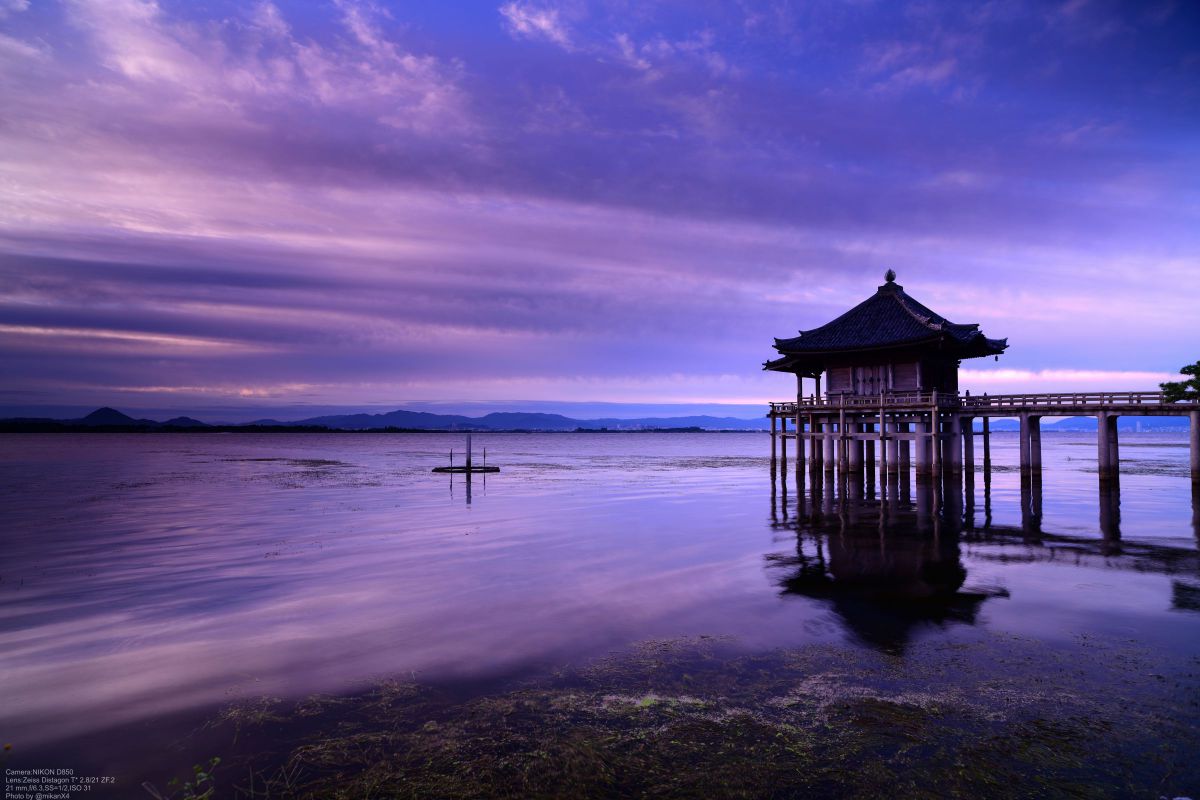 XF50mm F1.0R WRのレビュー。ポートレート編 | GANREF