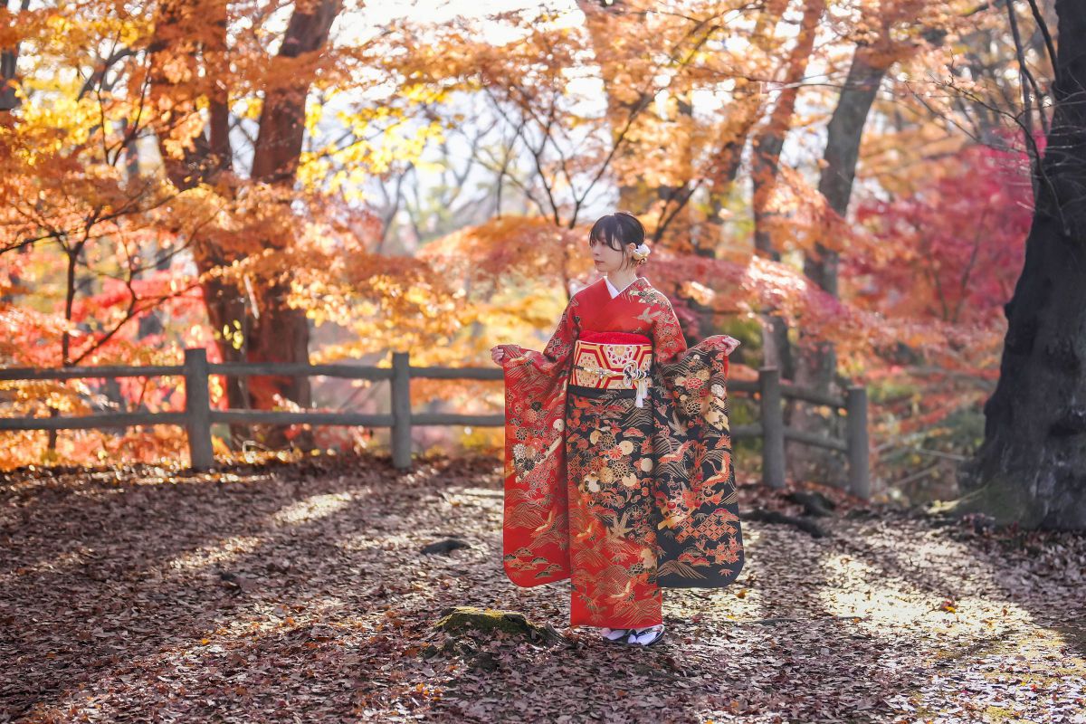 FE 50mm F1.2 GMで撮影された写真 | 写真検索 | GANREF