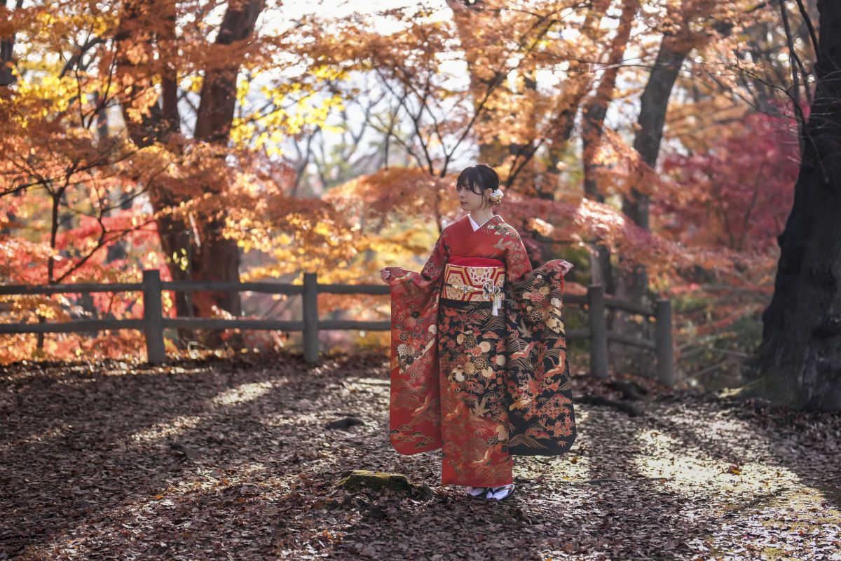 FE 50mm F1.2 GMで撮影された写真 | 写真検索 | GANREF