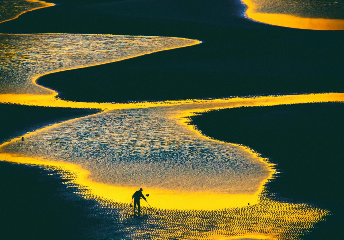 sweetpotatobotzuikodigital 50-200mm他 sweetpotatobotzuikodigital 50-200mm他 OM SYSTEM M.Zuiko Digital ED