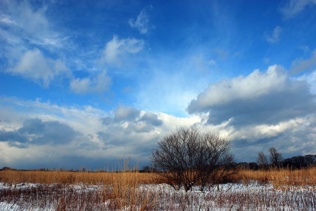 眠らない荒野 自然 風景 大地 Ganref