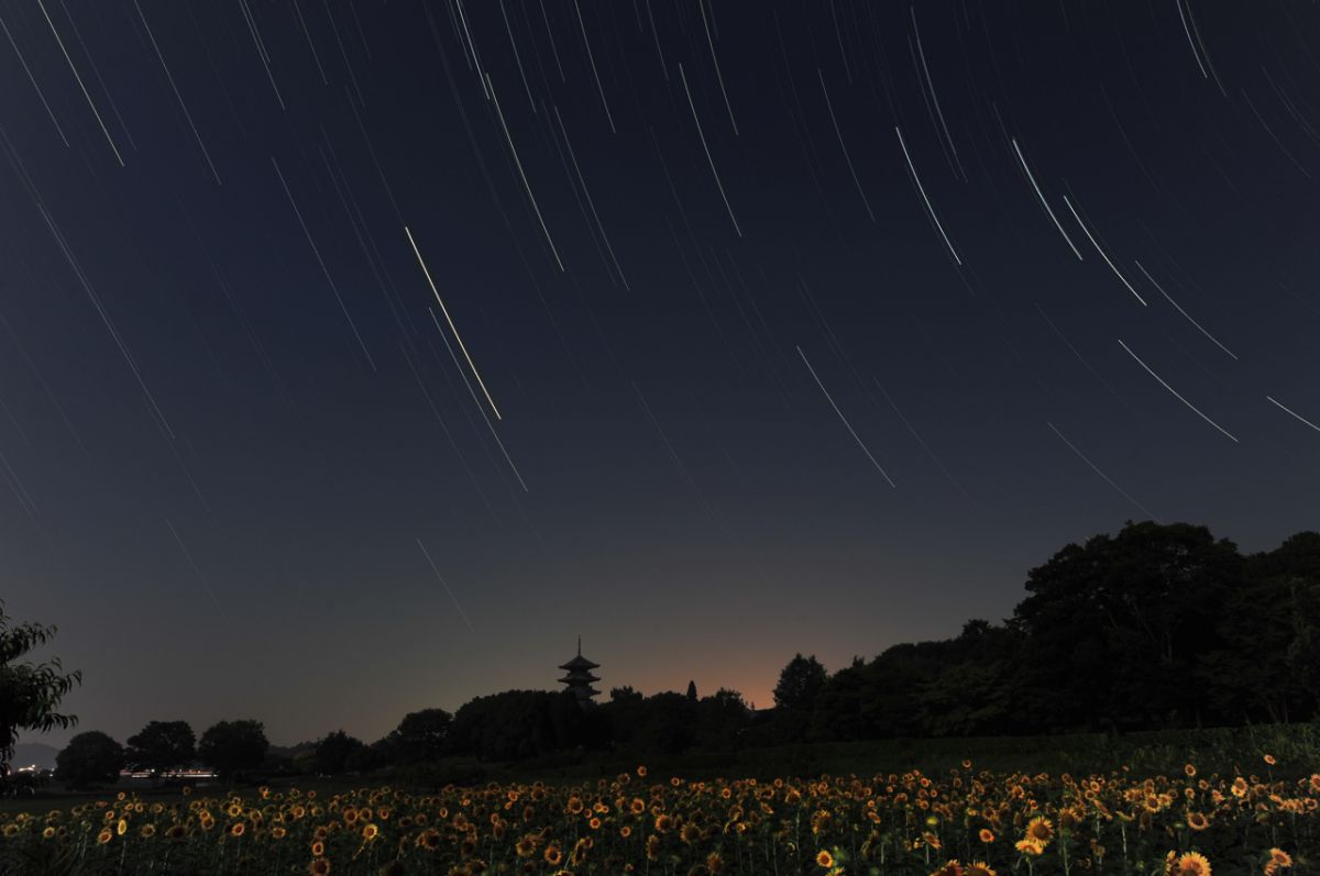 夏の夜景 備中国分寺 自然 風景 宇宙 天体 Ganref