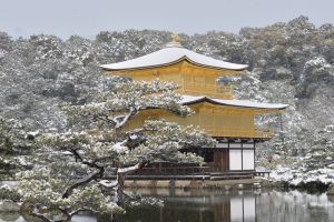 8d34b8493dfecb113fa63b1acca74b