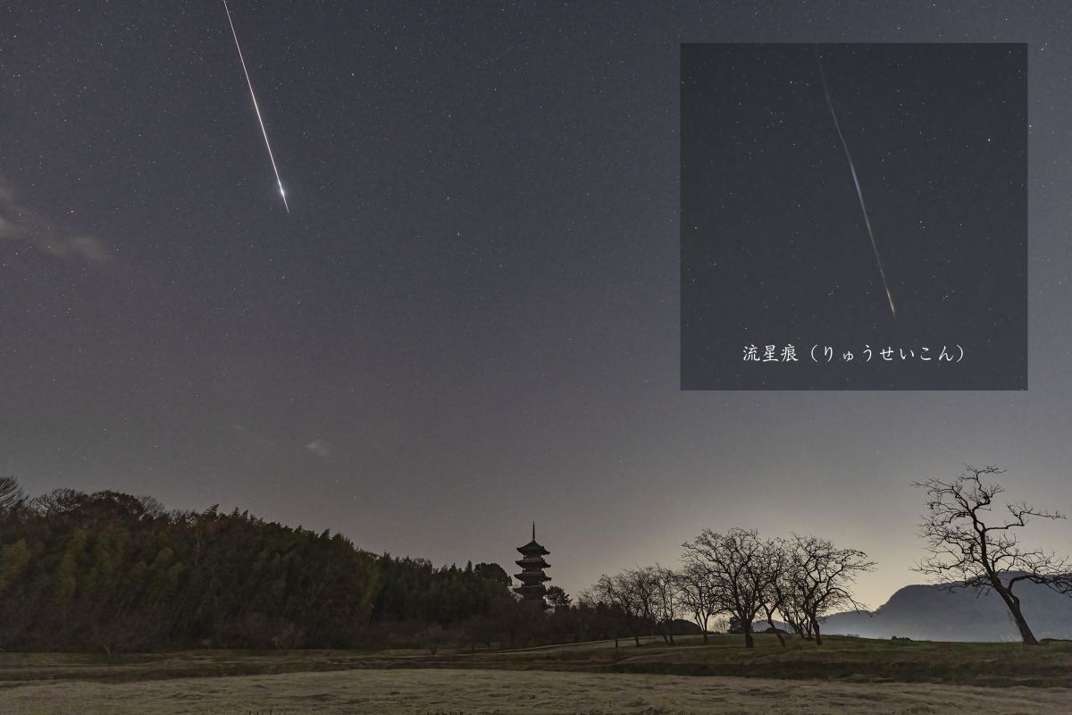 本物の流れ星の粉✨✨✨⭐️隕石⭐️✨✨✨ ニコンZ 8］レビュー10回目 ホーリーグレイルの試行 その8