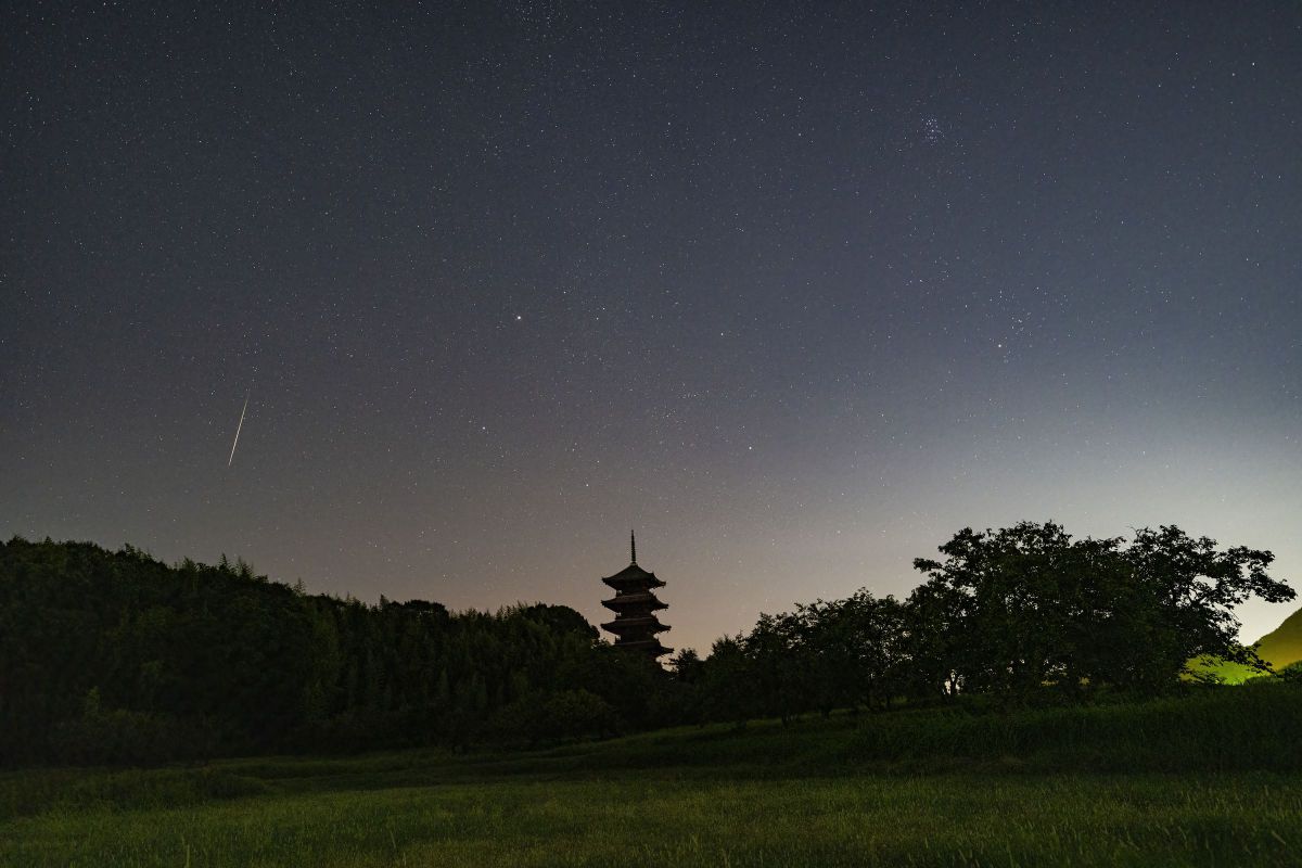 ニコンZ 8］レビュー10回目 ホーリーグレイルの試行 その8