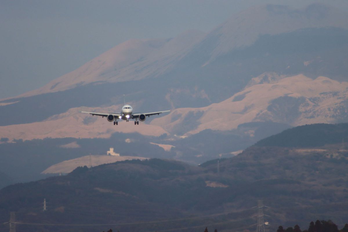 ❤️迫力ズーム❤️Canon 75-300mm❤️野鳥・飛行機撮影❤️ ❤️迫力ズーム❤️Canon 75-300mm❤️野鳥・飛行機撮影❤️ M