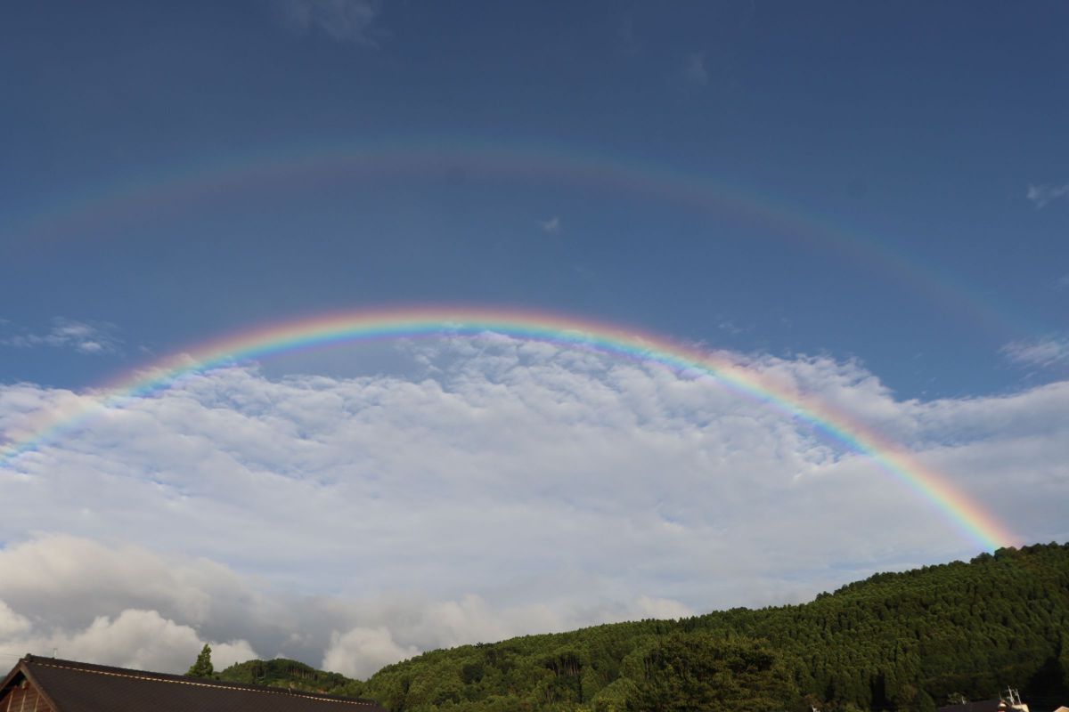 EF-S18-55mm F4-5.6 IS STMで撮影された写真 | 写真検索 | GANREF