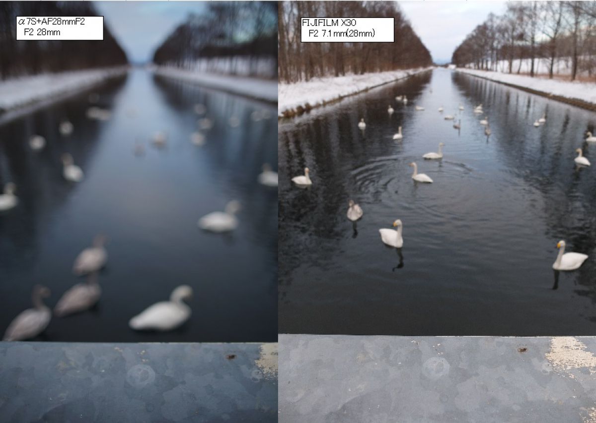 写真のもの２点 FUJIFILM X30 レビュー］ #12 広角28mmF2のボケは如何ほどか？ | GANREF