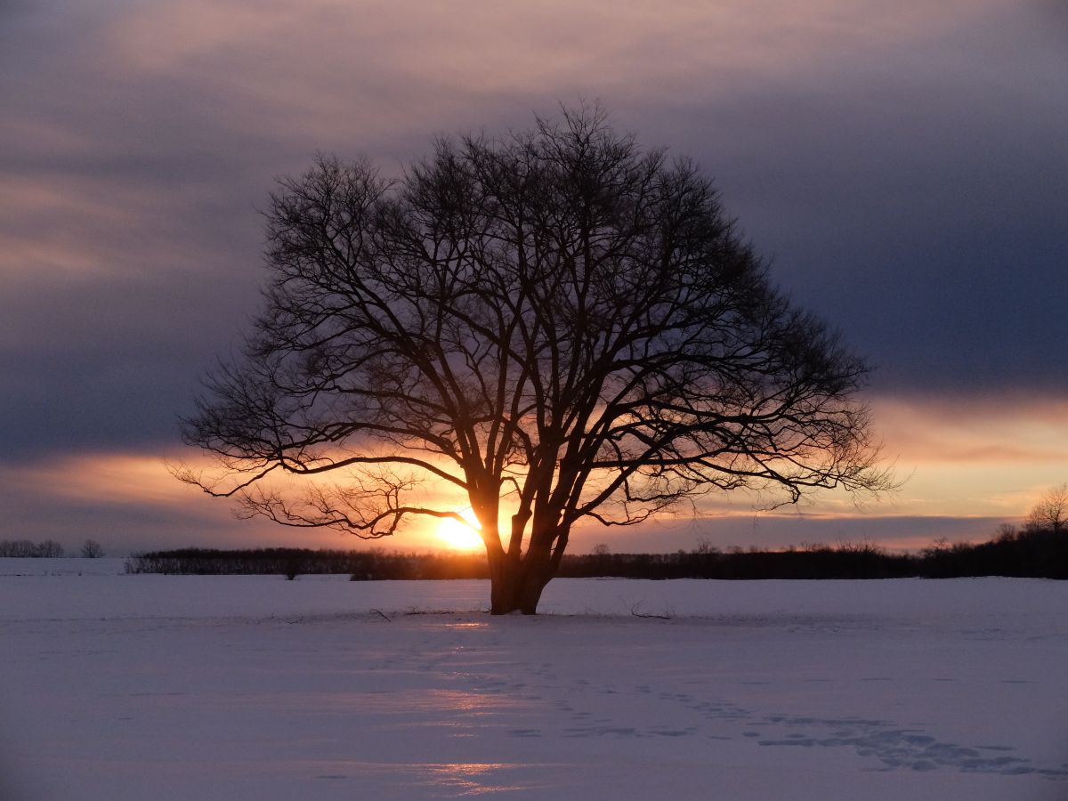 FUJIFILM X30 レビュー］ #17 作例集① | GANREF