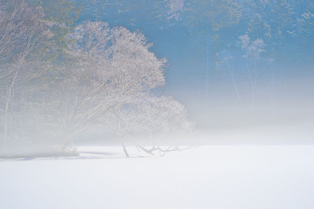 霧雪