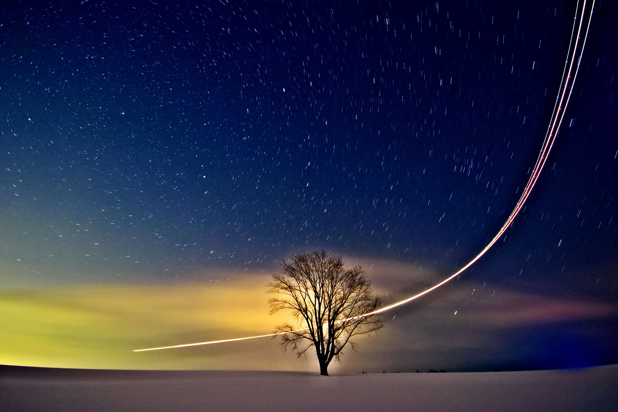 フラボア　FRAPBOIS 銀河鉄道の夜 フラボア FRAPBOIS 銀河鉄道の夜