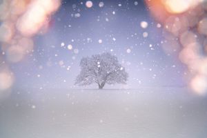 c3df58855b60274a6279c94b9fe0c1