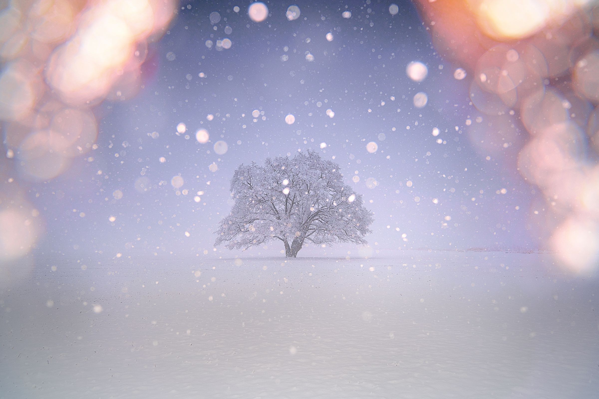 なごり雪 | GANREF