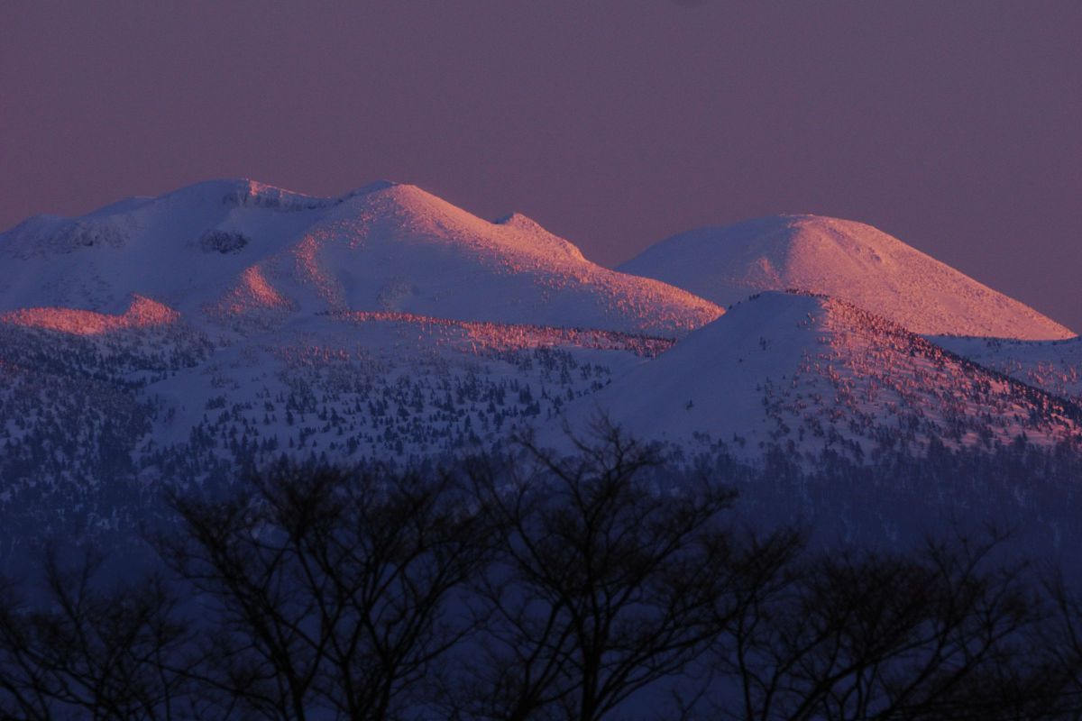 M.ZUIKO DIGITAL ED 100-400mm F5.0-6.3 IS IIで撮影された写真 | 写真