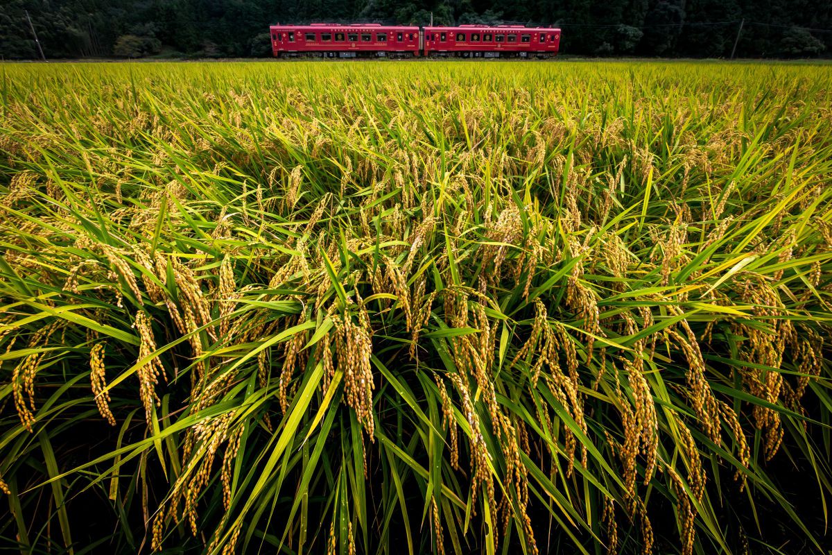 EF17-35mm F2.8L USMで撮影された写真 | 写真検索 | GANREF