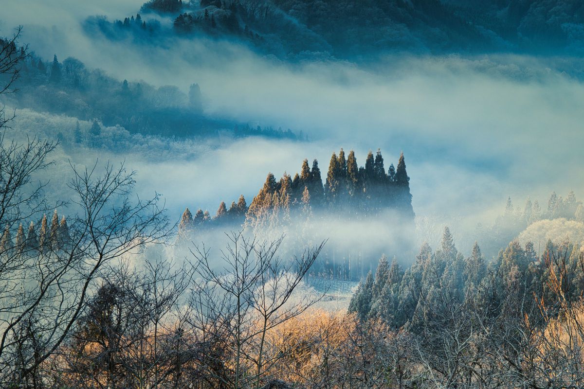 NIKKOR Z 70-200mm f/2.8 VR Sで撮影された写真 | 写真検索 | GANREF