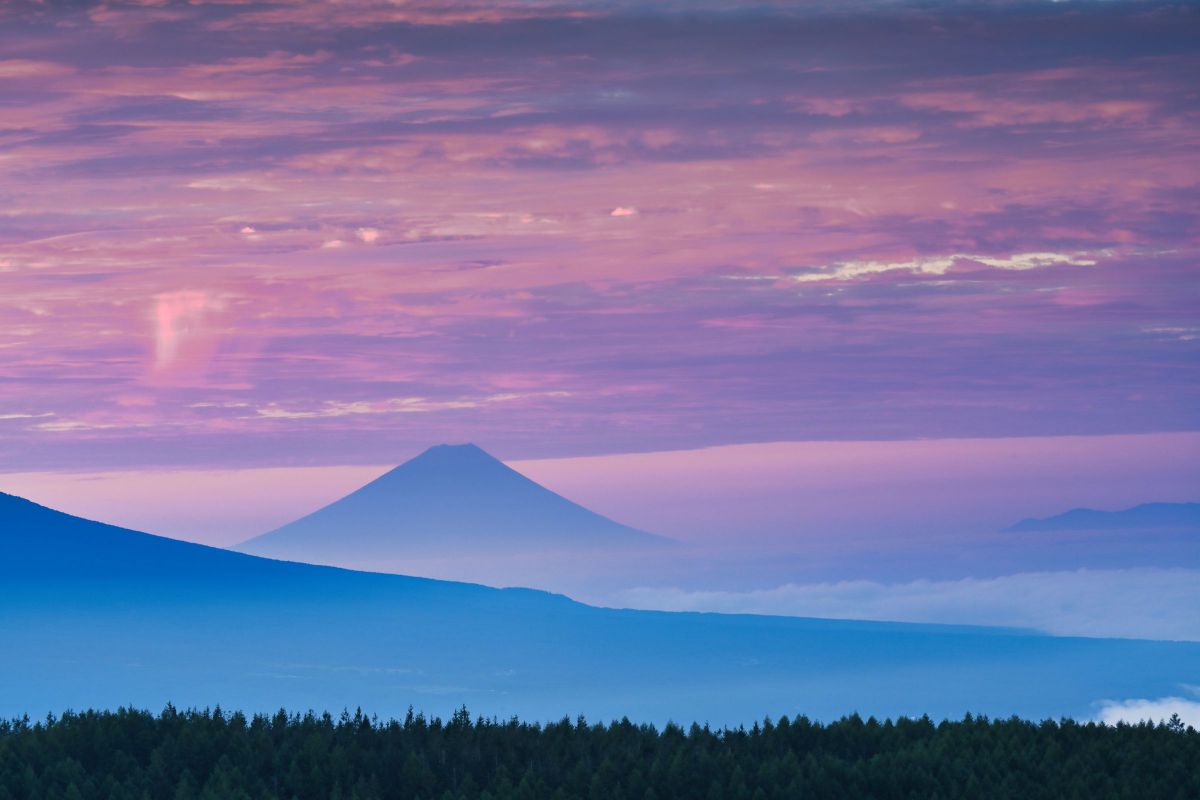 NIKKOR Z 70-200mm f/2.8 VR Sで撮影された写真 | 写真検索 | GANREF