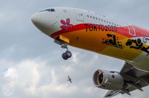 KITE🪁 JA743A C-3PO ANA JET | GANREF