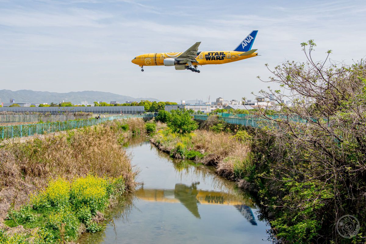華🌼 JA743A C-3PO ANA JET | GANREF