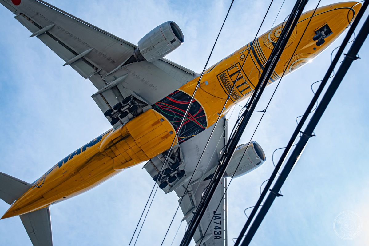 航空機・ヘリコプター JCwings C-3PO ANAjet JA743A 航空機・ヘリコプター JCwings C-3PO ANAjet JA743A ANA、C-3PO
