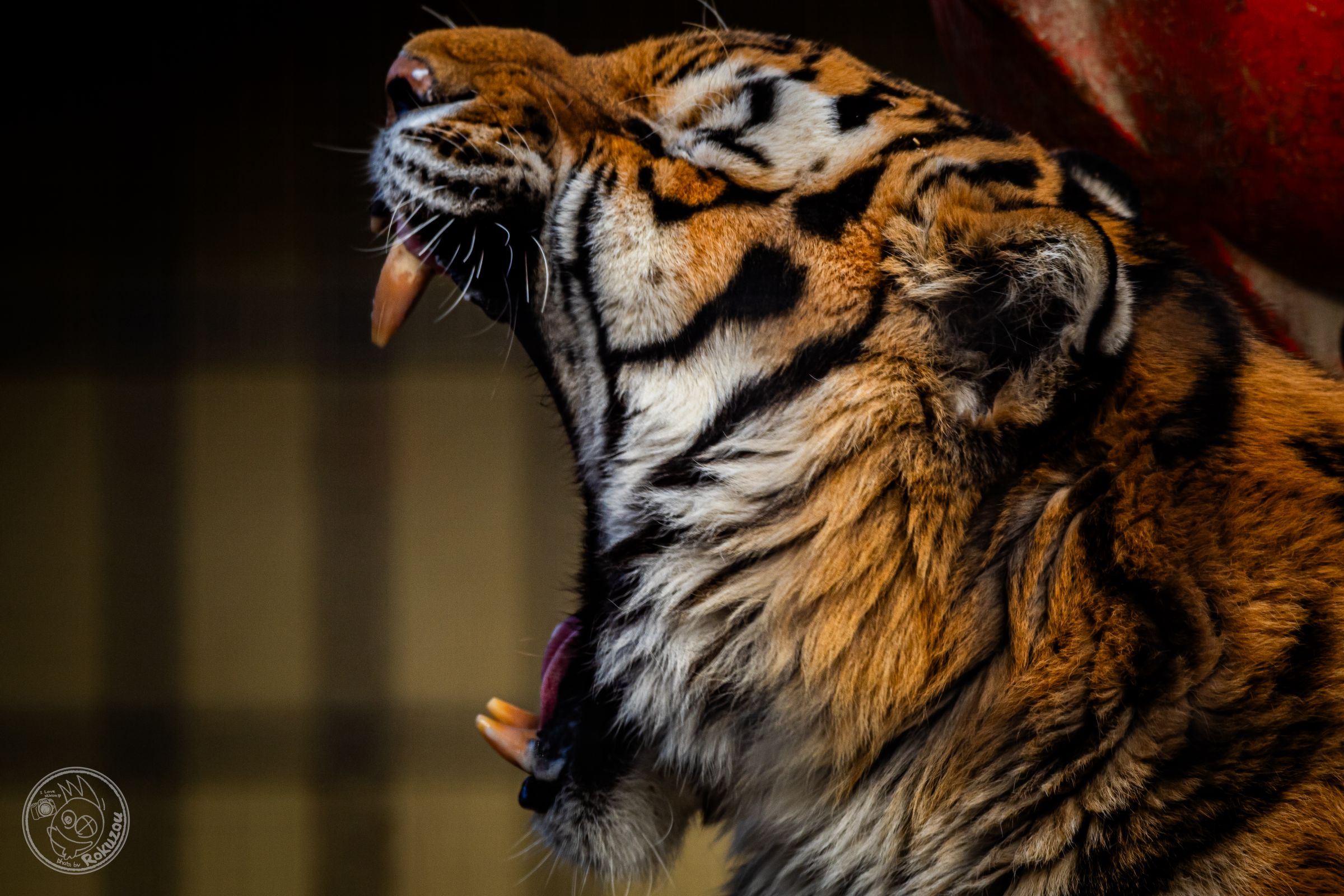 Roar of victory 王者の叫び | GANREF