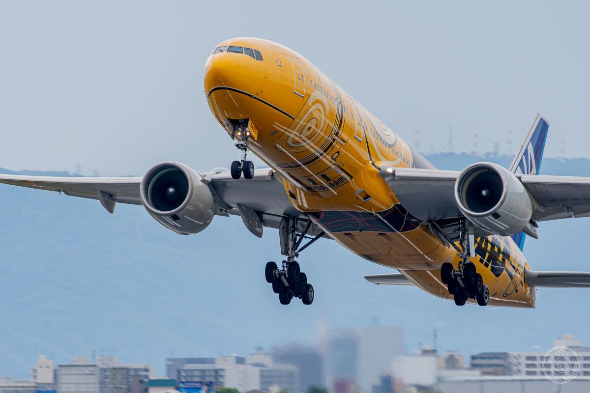 MDAwMDA2NjY4MA_MC4xNjAzMzYwMCA