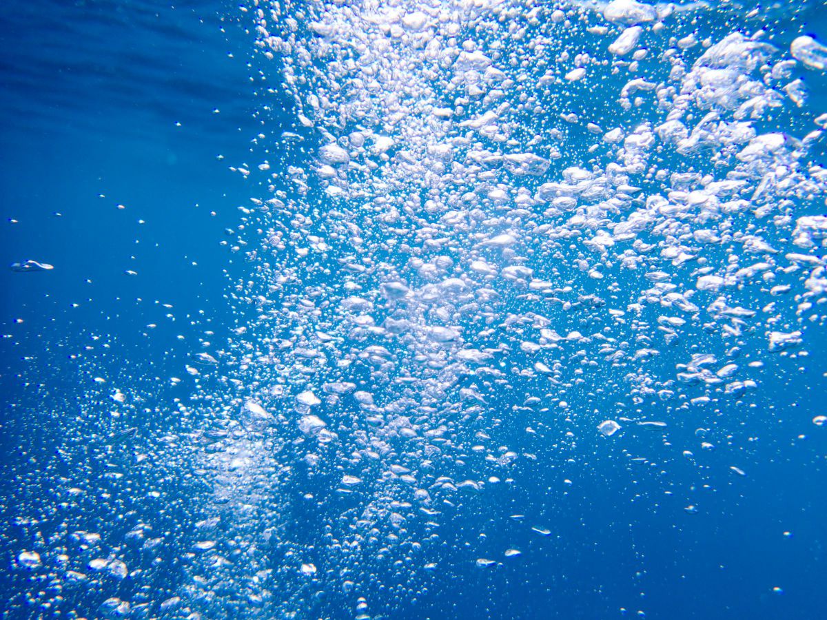 OLYMPUS Tough TG-6で撮影された写真 | 写真検索 | GANREF