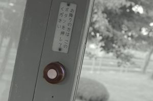 大きなキノコ 植物 キノコ Ganref