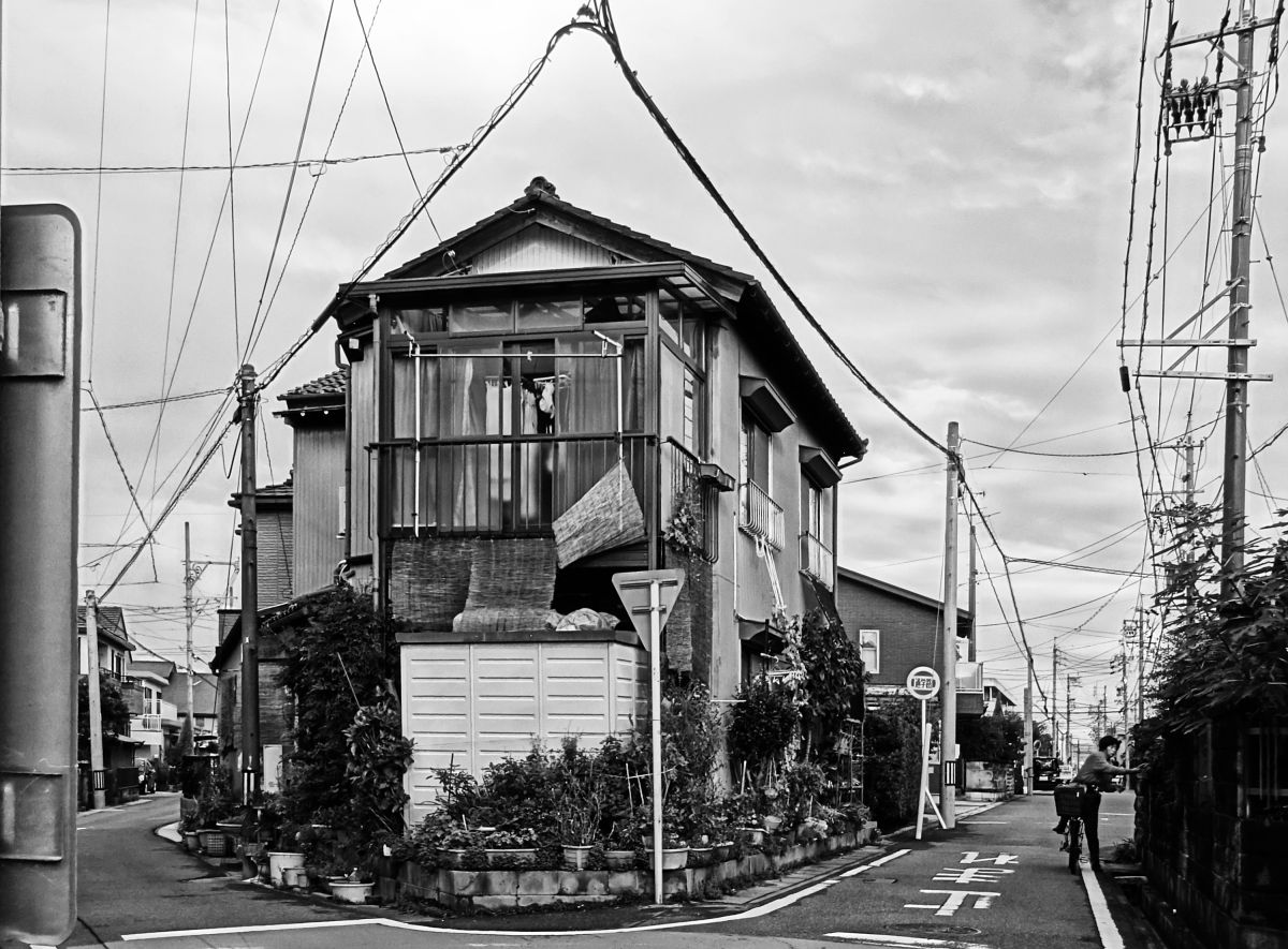 Cyber-shot DSC-WX350で撮影された写真 | 写真検索 | GANREF