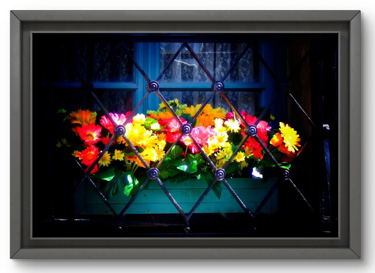 FinePix F30で撮影された写真 | 写真検索 | GANREF