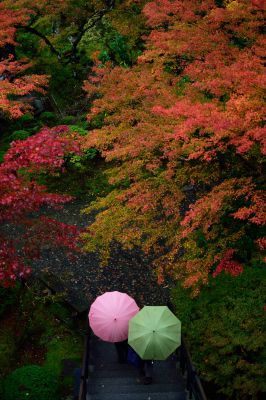 2017年の紅葉フォトコンテスト 紅葉フォトコンテスト部門の受賞作品 