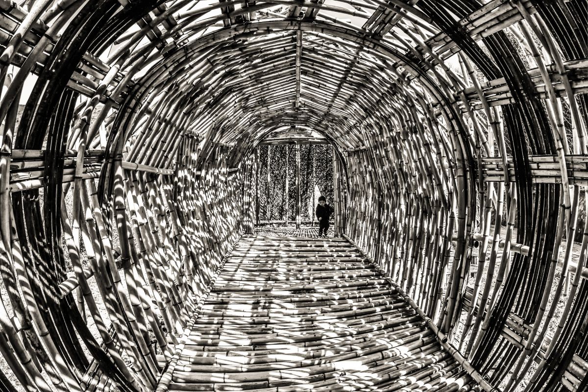 D7200で撮影された写真 | 写真検索 | GANREF