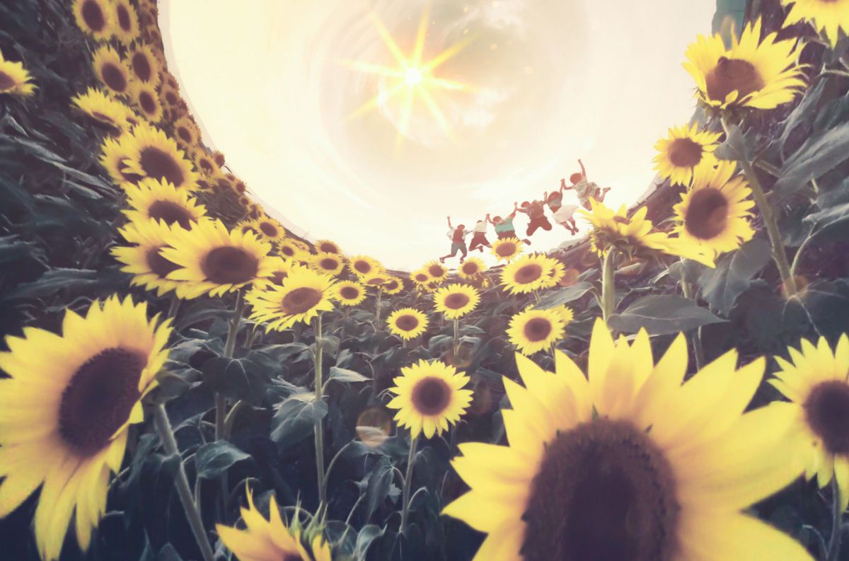 SUMMER TIME | GANREF