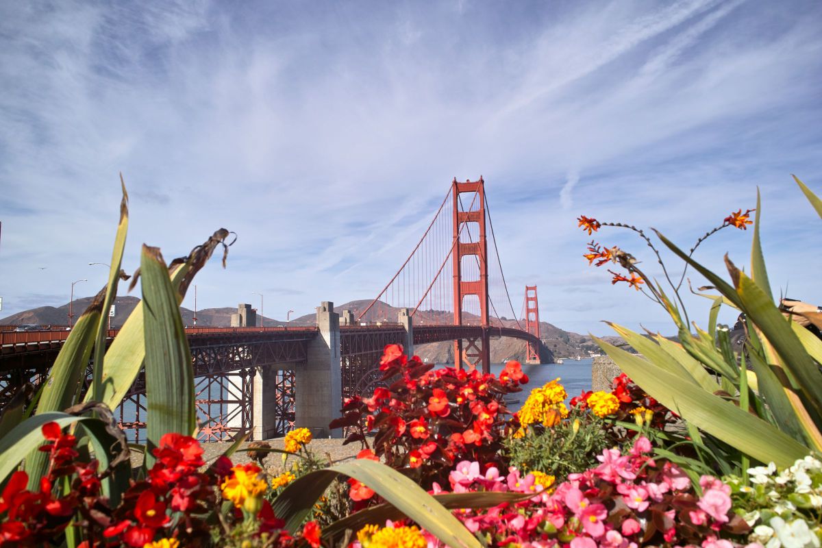 Golden Gate Bridge | GANREF