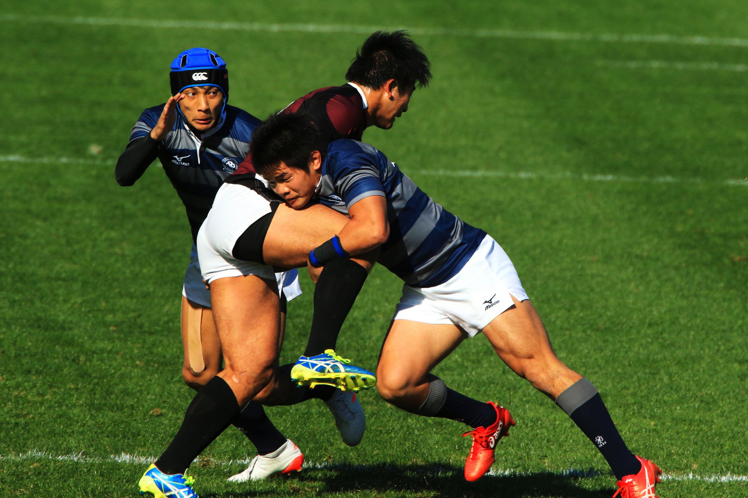 【Lサイズ】同志社大学ラグビー部　練習用ジャージ 同志社大学 ラグビージャージ - メルカリ