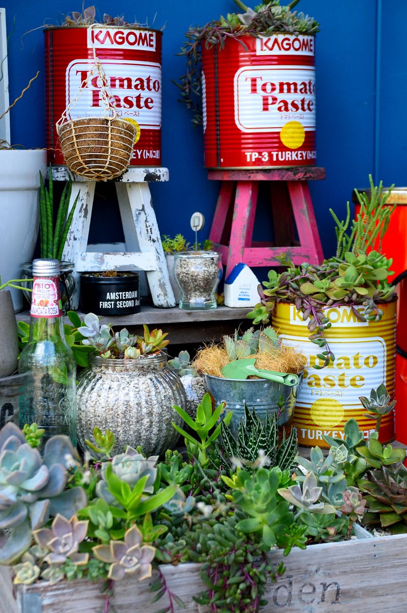 600万画素でも、まだまだ現役」Nikon D70 | GANREF