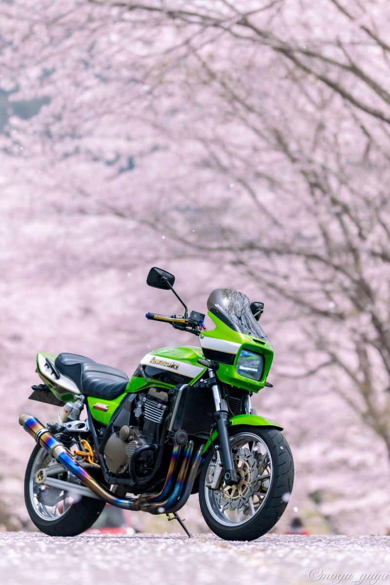 桜並木 X-T5とXF56mmF1.2WRで安行桜スナップを #007_2303｜(´・ω・｀)