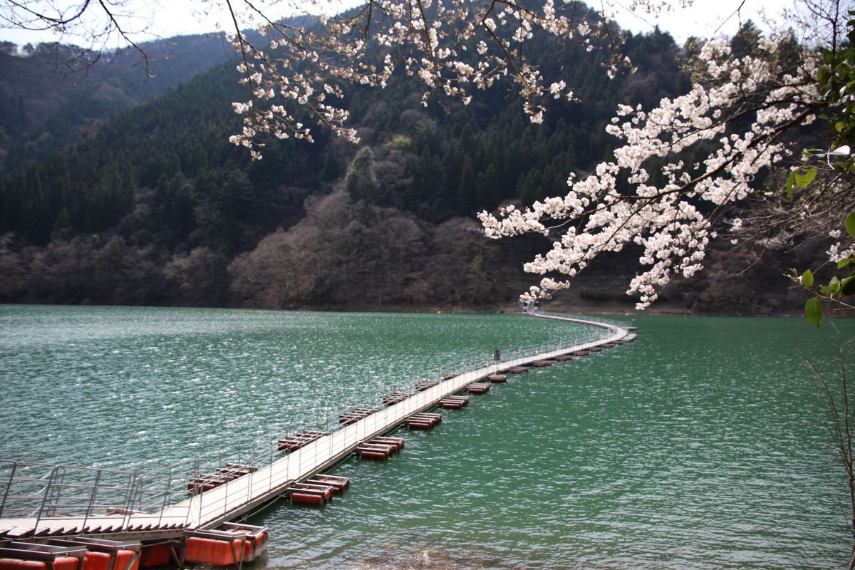 奥多摩湖の浮橋 自然 風景 水辺 Ganref