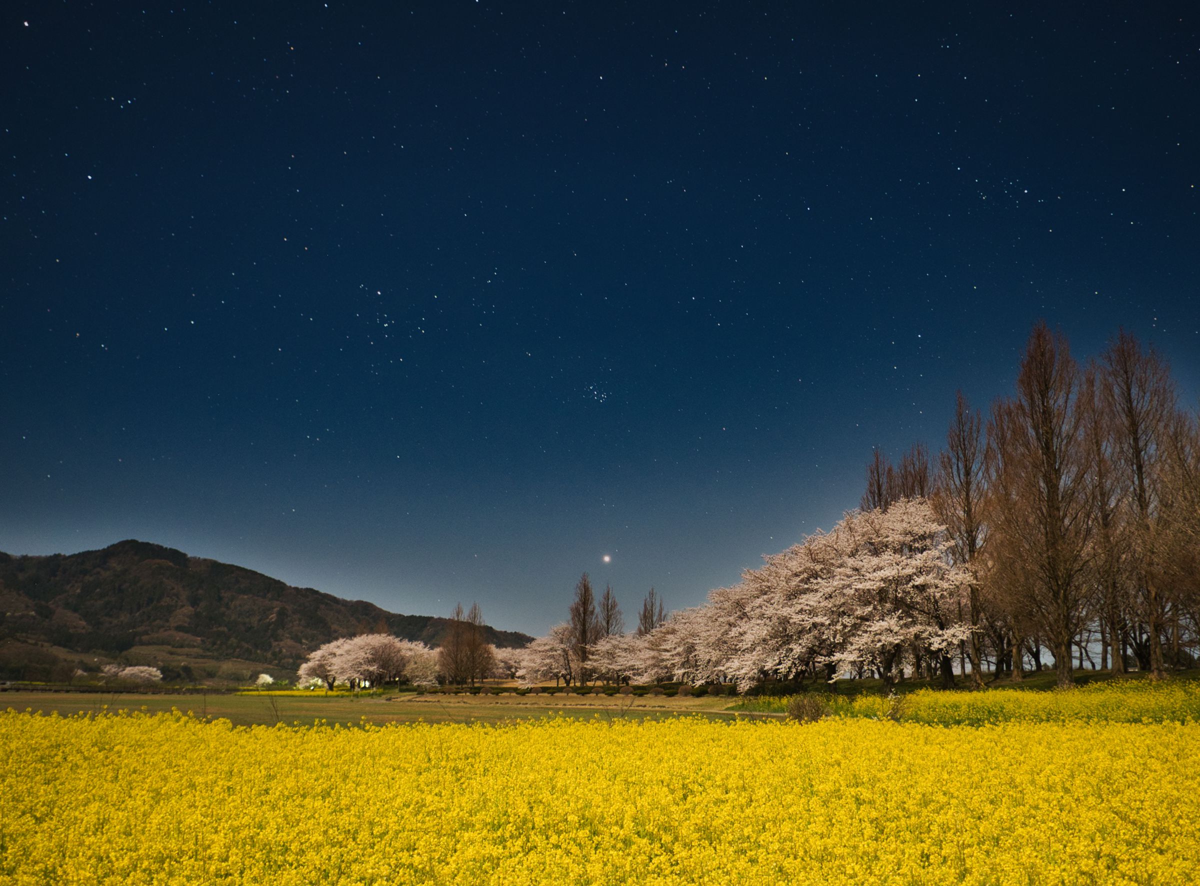 星空の下 | GANREF