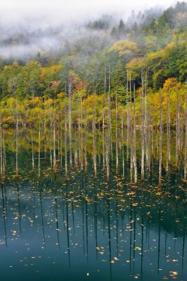 日本の秋・厳選風景16年【 風景写真 9-10月号　2007〜2022年】16冊 風景写真2025年9・10月号 | ブティック社 |本 | 通販 | Amazon