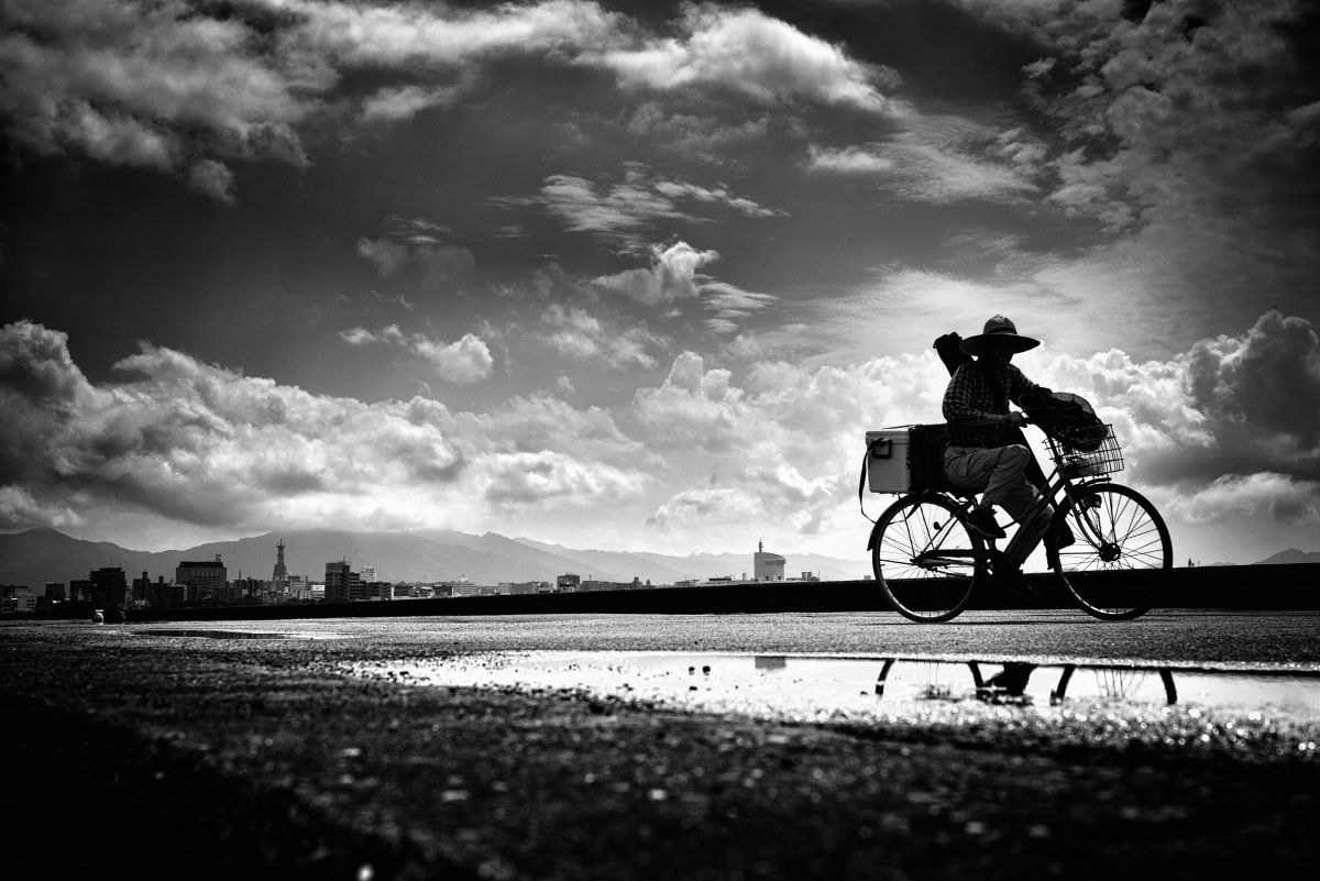 Ernst Leitz ズミクロン 50mm f/2.0 ＊作例あり Ernst Leitz