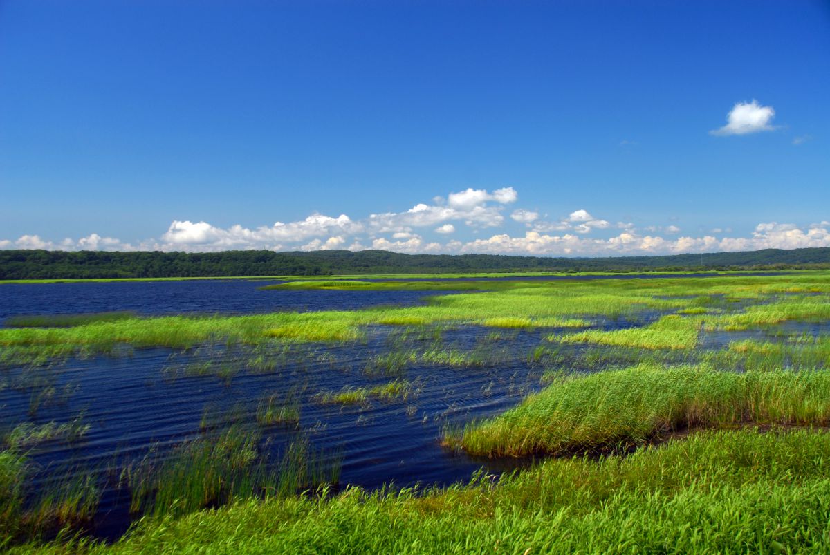 夏景色 自然 風景 空 雲 Ganref