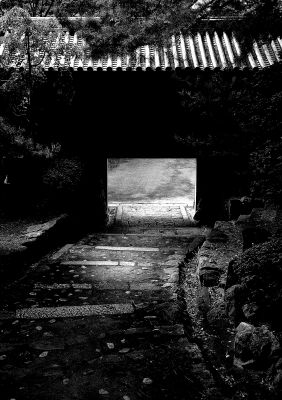 階段・廊下に飾る写真を探せ！フォトコンテスト 単写真部門の受賞作品