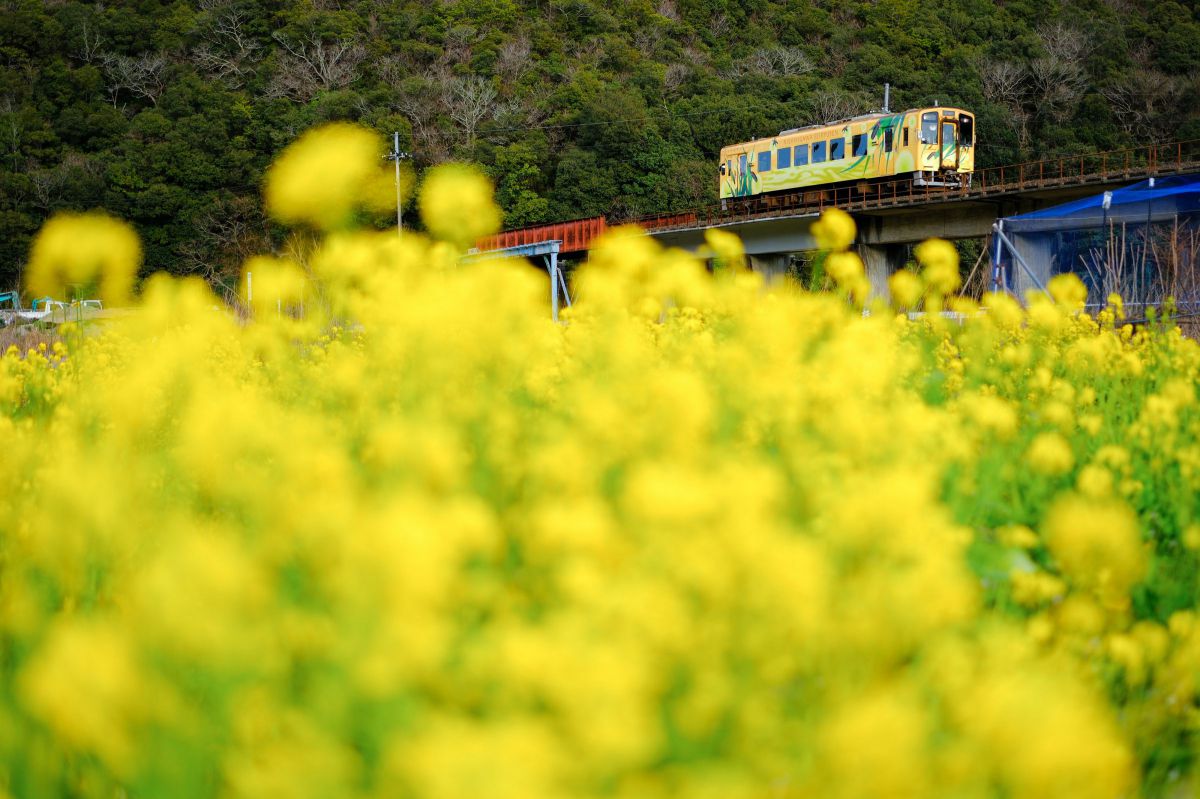 XF33mmF1.4 R LM WRで撮影された写真 | 写真検索 | GANREF