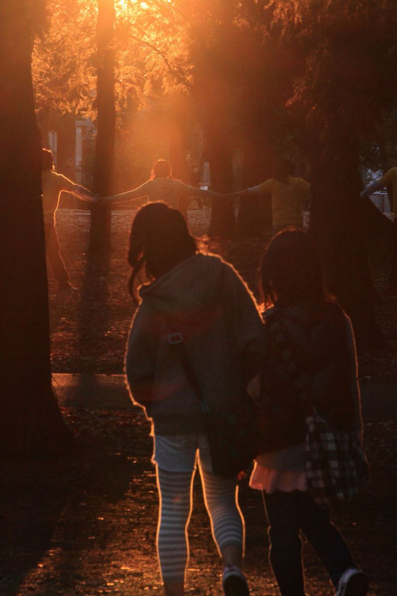 不思議の国 GANREF