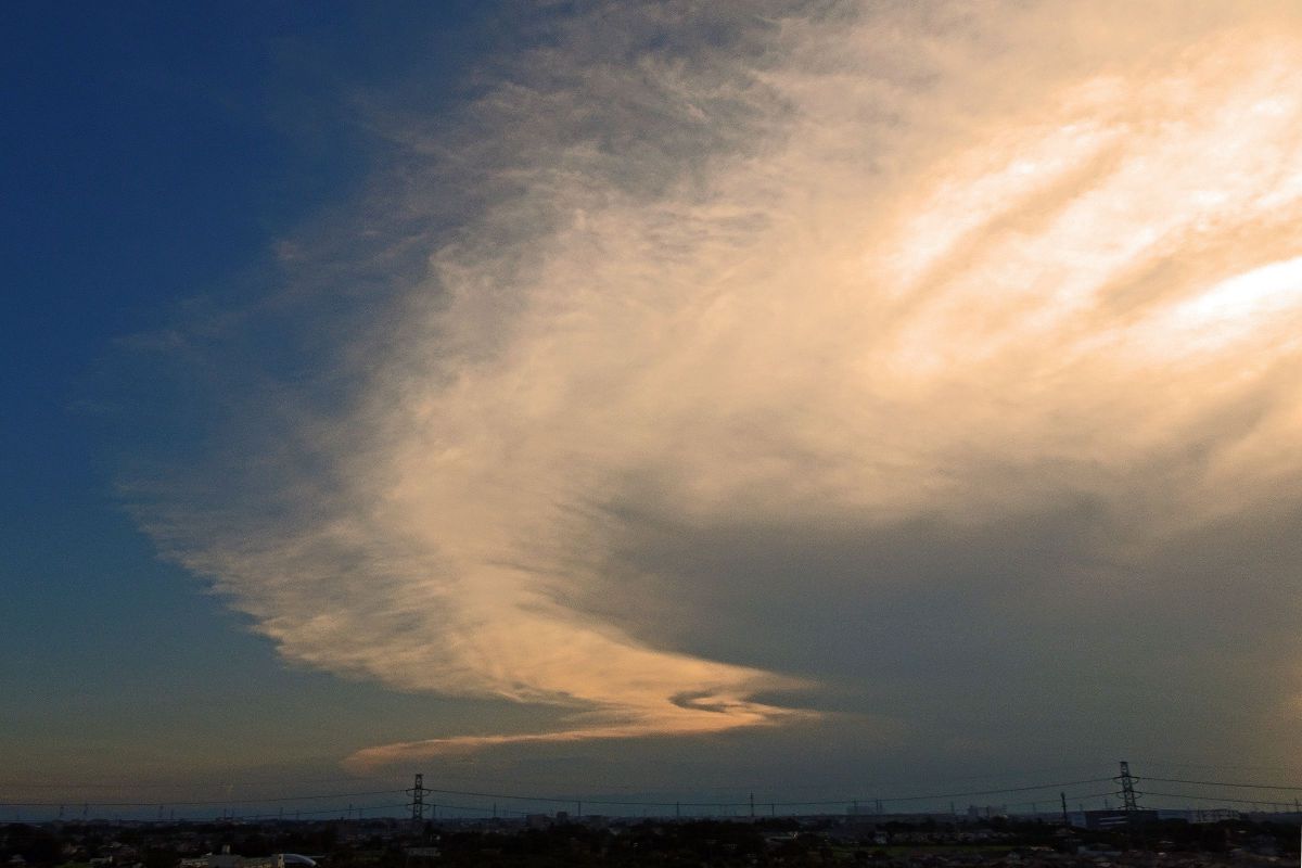 フェニックス GANREF