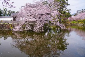 春の小川 | GANREF