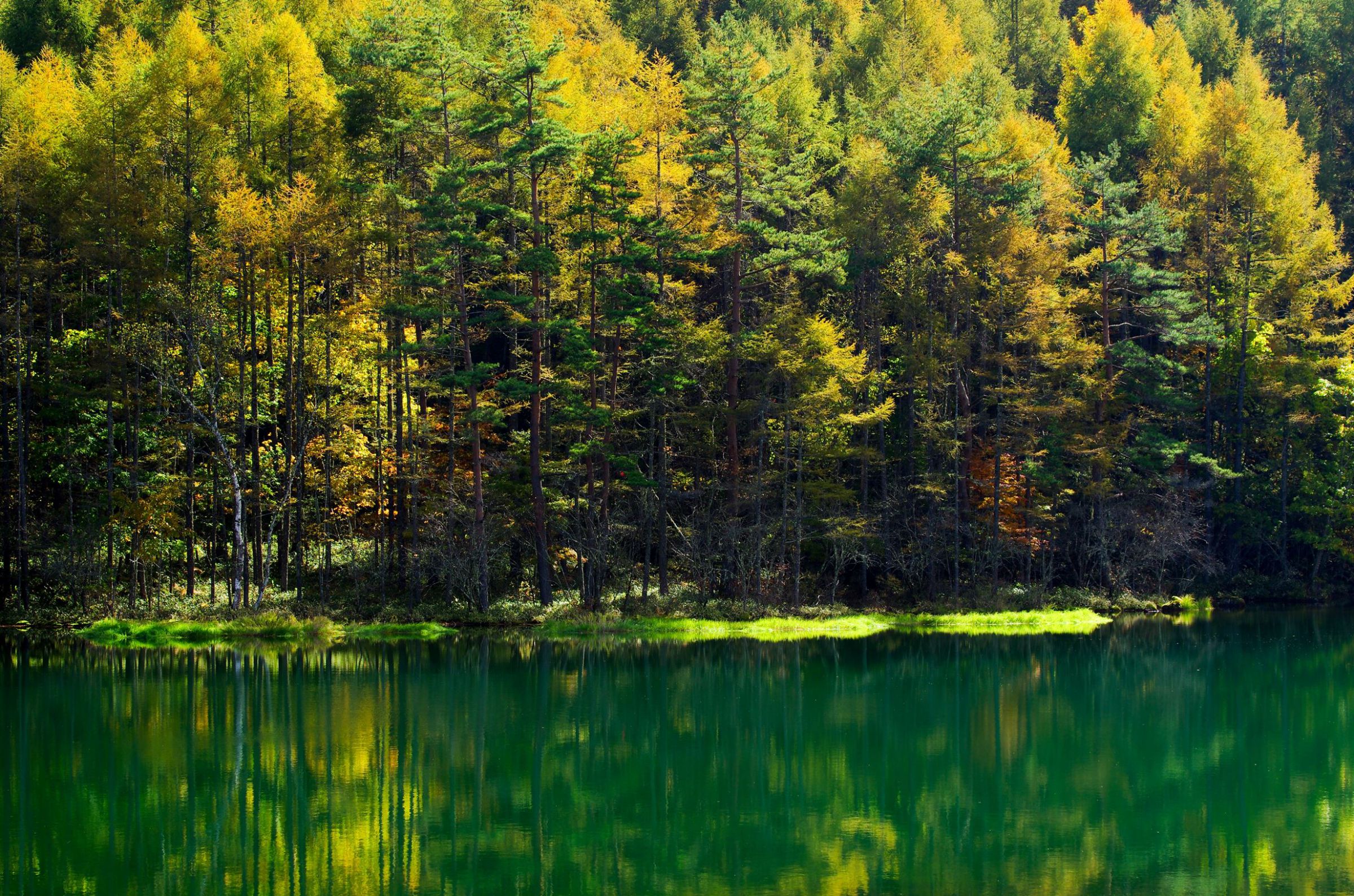 深い緑の池 | GANREF