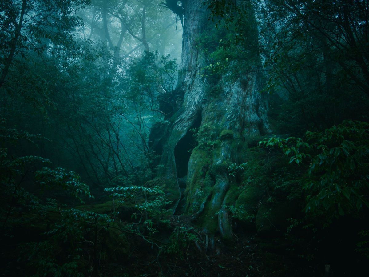 GR DIGITAL IIで撮影された写真 | 写真検索 | GANREF