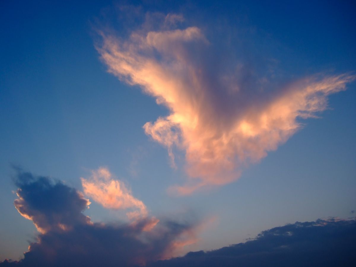 鳥のような雲 自然 風景 空 雲 Ganref